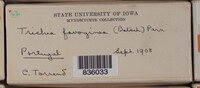 Image Associated With the Occurence